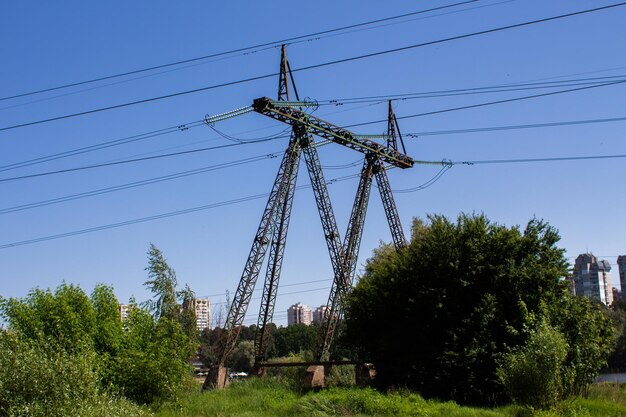 Linee elettriche ad alta tensione nella foresta