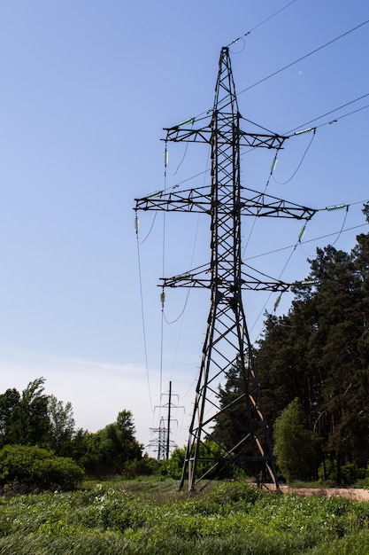 Linee elettriche ad alta tensione nella foresta