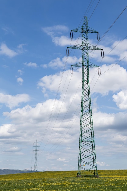 Linee elettriche ad alta tensione sopra il prato primaverile Pali elettrici sullo sfondo del cielo