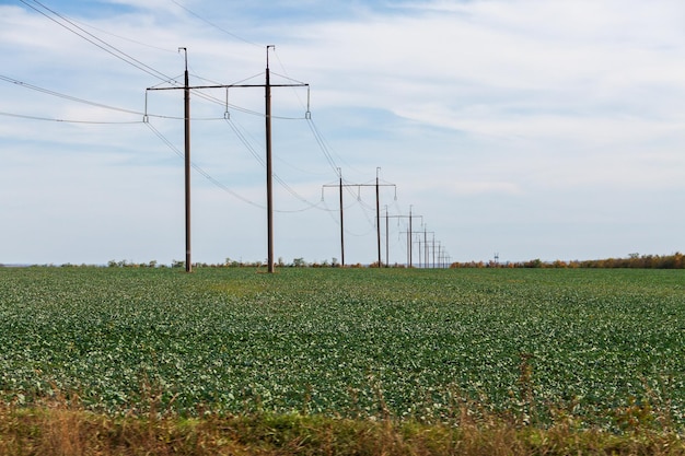 linee elettriche aeree in campagna