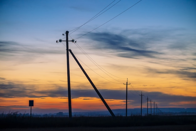 Linee elettriche in campo su sfondo alba.