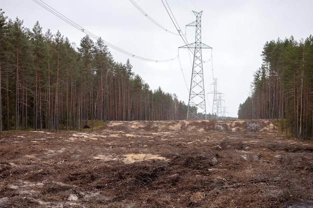 linee elettriche sulla linea forestale