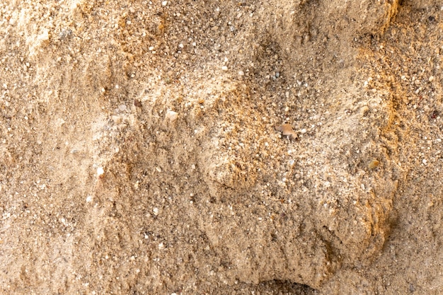 Linee nella sabbia di una spiaggia