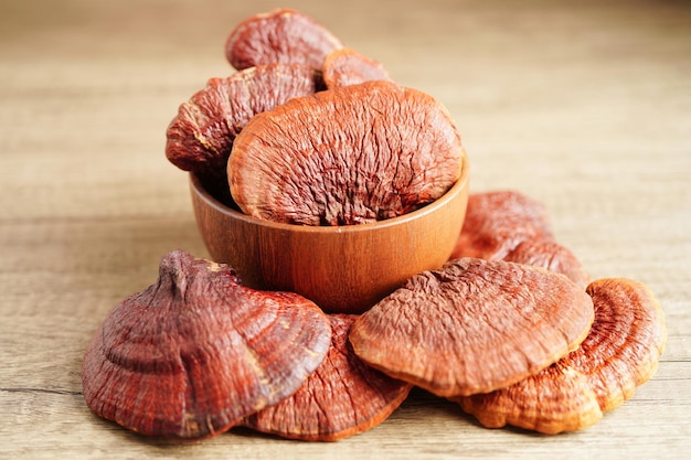 Lingzhi o Reishi funghi con capsule alimenti biologici naturali sani