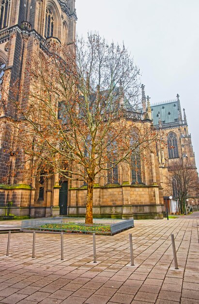 Linz Nuova Cattedrale di Linz in Austria