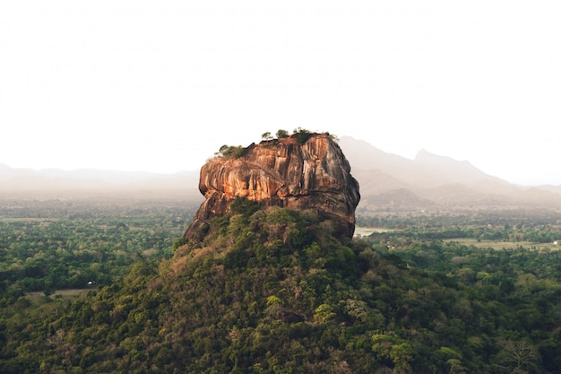 Lion Rock al mattino nello Sri Lanka