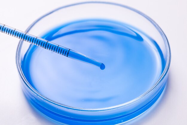 Liquido blu chimico nel piatto di vetro, prova su priorità bassa bianca.