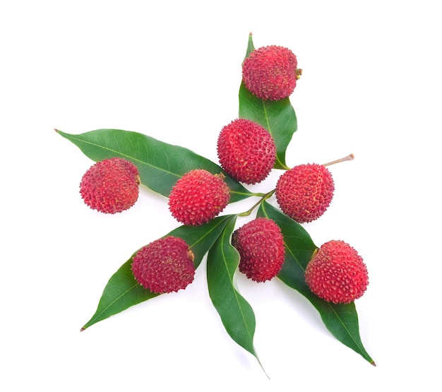 Litchi isolati su sfondo bianco