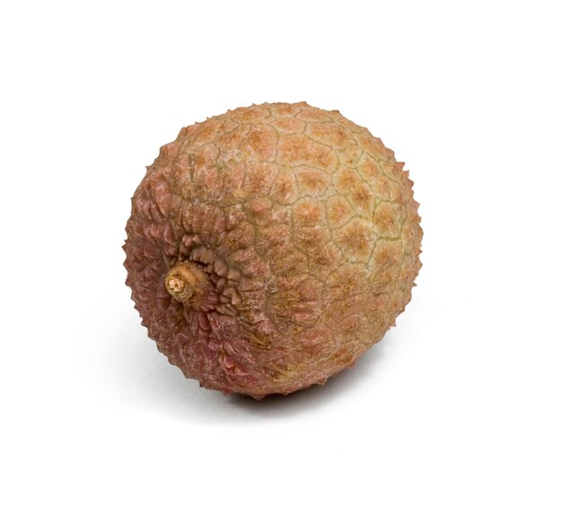 Litchi