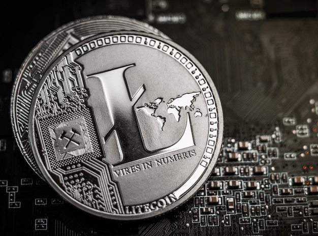 Litecoin posa sulla scheda madre del computer