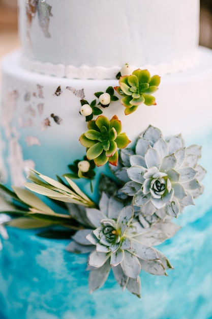 Livello di torta nuziale blu e bianca decorata con piante grasse verdi