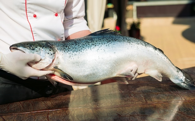 Lo chef mantiene il salmone.