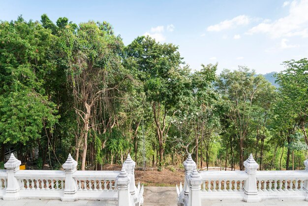 Lo scenario della foresta con il tempio del Buddha in Thailandia