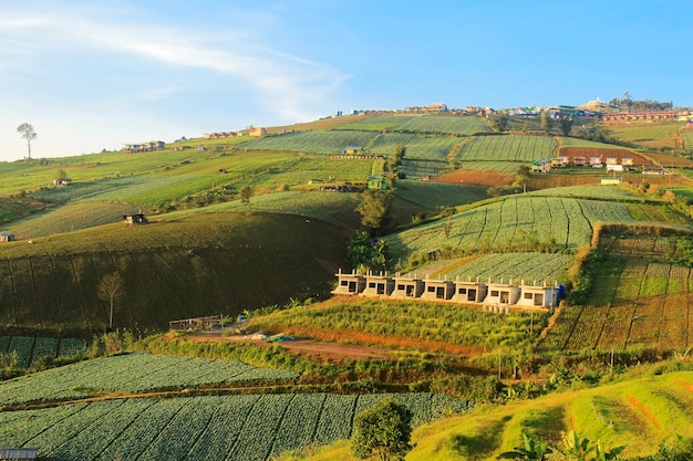 Lo scenario delle montagne è bellissimo.