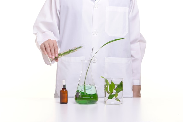 Lo scienziato studia e ricerca la medicina liquida da erbe naturali.
