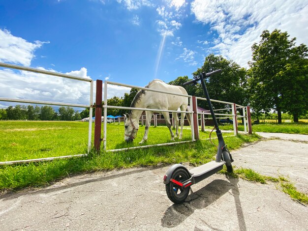 Lo scooter elettrico vicino all'erba verde ha coperto l'arena del cavallo equestre di cavallo bianco.