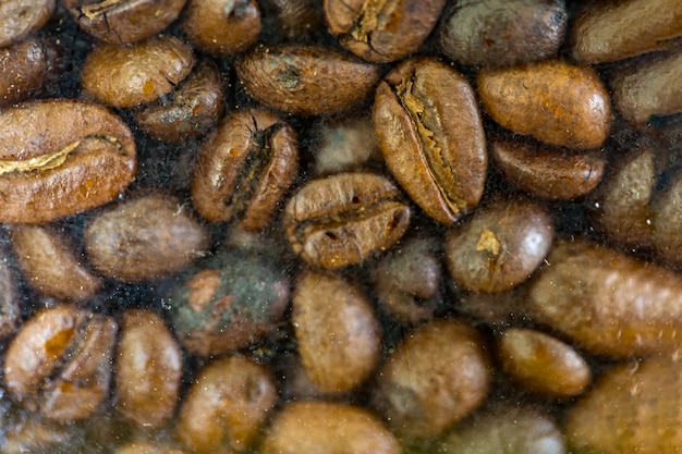 Lo sfondo dei chicchi di caffè non è ordinato.