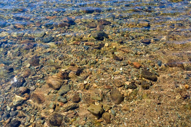 Lo sfondo del fondo del fiume