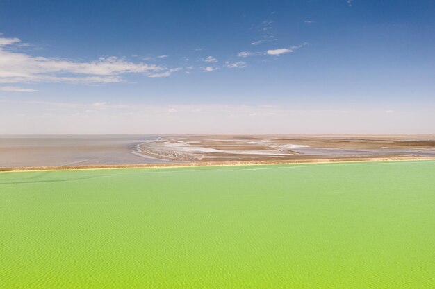 Lo sfondo del lago naturale del lago salino verde