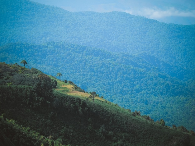 Lo sfondo del paesaggio di natura