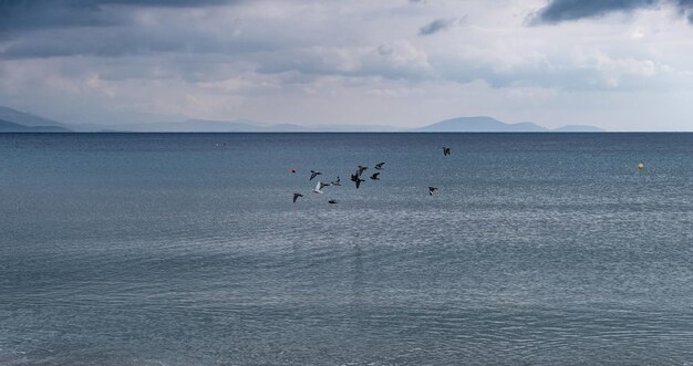 Lo sfondo di soffici nuvole incontra un calmo mare blu scuro e alcuni gabbiani sorvolano la sua superficie