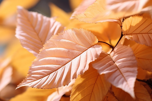 Lo splendore dell'autunno Primo piano delle foglie colorate L'arte della natura in ogni dettaglio Motivi accattivanti sullo sfondo della tavolozza dell'autunno Ai generativa