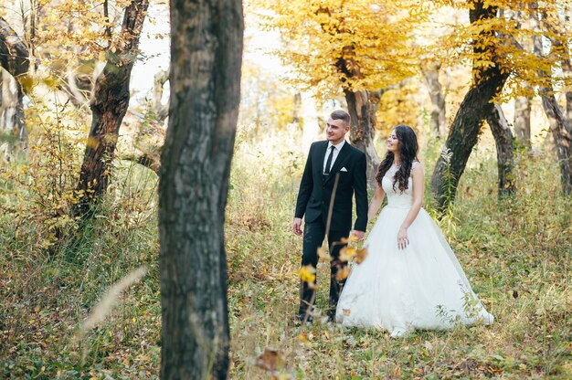 Lo sposo e la sposa felici e innamorati camminano nel parco in autunno il giorno delle nozze