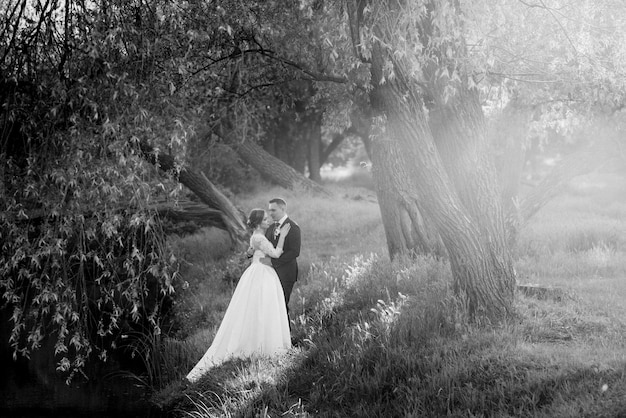 Lo sposo e la sposa stanno camminando nella foresta vicino a un fiume stretto in una giornata luminosa