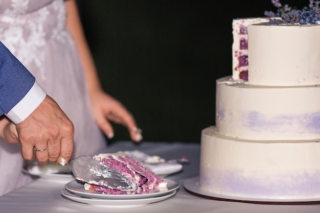 Lo sposo e la sposa stanno tagliando un pezzo di torta nuziale.