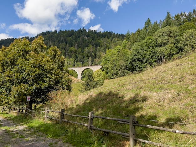 Lo storico ponte vicino a Friburgo