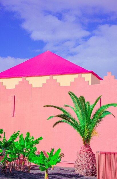 Località tropicale alla moda. Muro rosa. Palma. Cielo estivo blu. Isole Canarie. Carta da parati per banner pubblicitari di viaggio