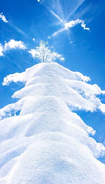 Lone tree seduto in cima a un mucchio di neve ai generativo
