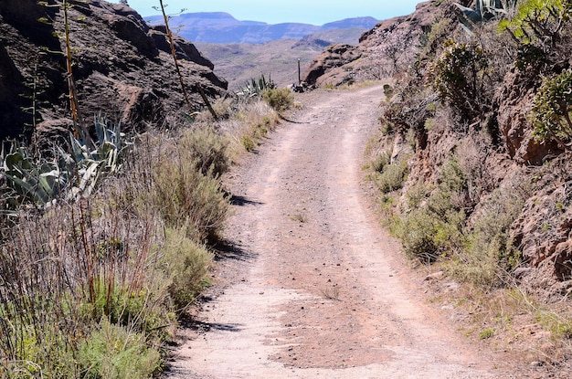 Long Dirt Desert Road scompare nell'orizzonte.