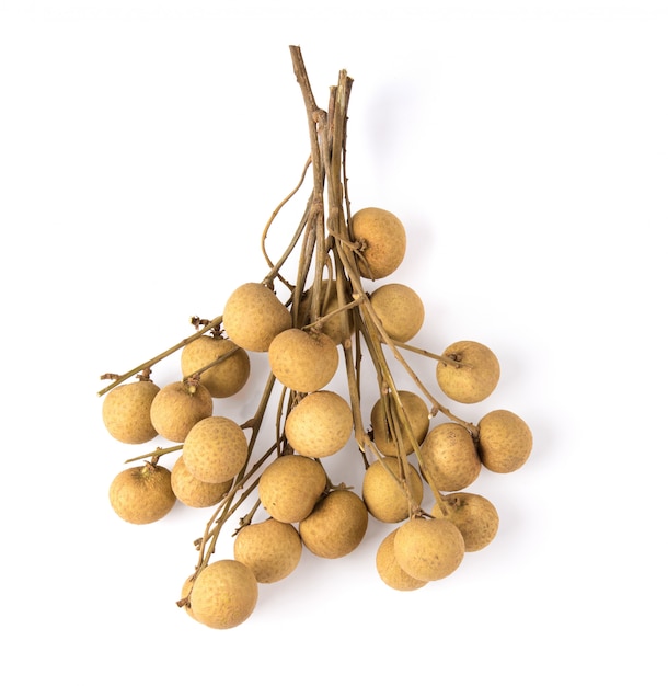 Longan fresco sul muro bianco.