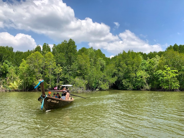 Longtail barche con gli alberi di mangrovie lungo l&#39;acqua verde turchese
