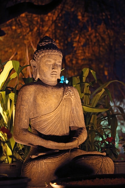 Lord Budha