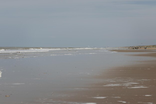 Low deserto spiaggia sabbiosa bassa ondata sabbia bagnata bassa marea