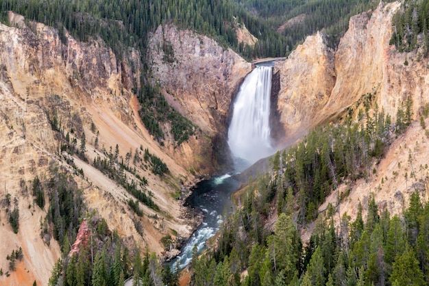 Lower Yellowstone cade nel Parco Nazionale di Yellowstone