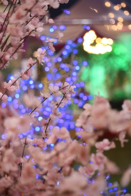 luce bokeh con fiori