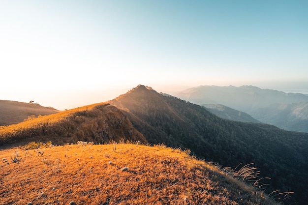 Luce del mattino e montagne, montagne in estate mattina e fiori primaverili