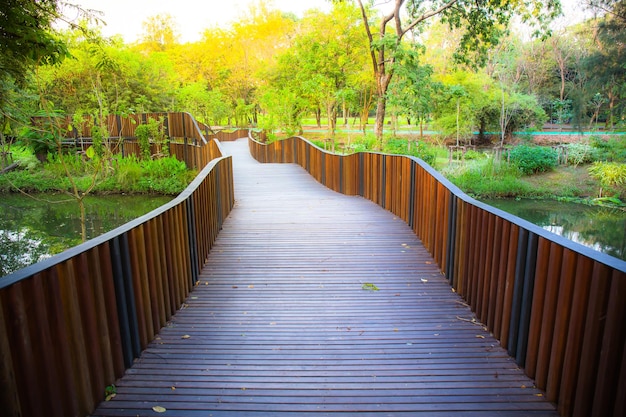 Luce del sole del mattino Natura in giardino con passeggiata sul ponte per l'esercizio