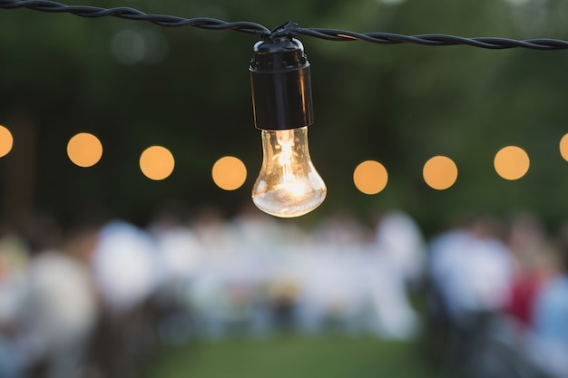 Luci decorative della stringa esterna che appendono su un albero nel giardino di notte