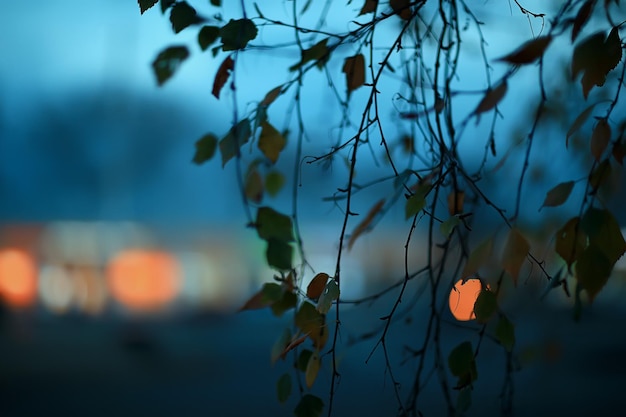 luci della sera sfondo sfocato bokeh autunno, sfondo astratto della città, autunno