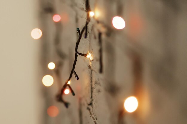 Luci di Natale rosse e gialle colorate appese al muro primo piano spazio di concetto di carta regalo di Natale per il testo