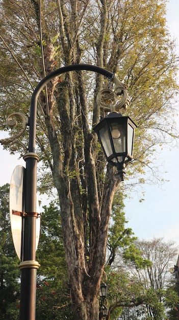 Luci di palo da giardino luci decorative in un parco cittadino con uno sfondo di albero alto nel pomeriggio