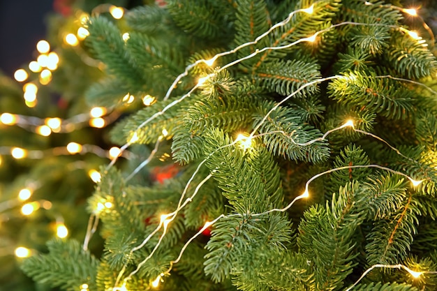 Luci incandescenti sull'albero di Natale, primo piano