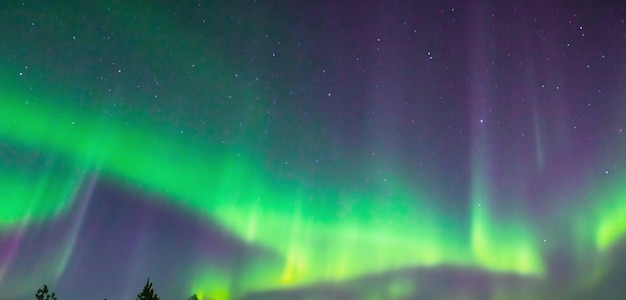 Luci settentrionali nel cielo Aurora Luce verde nel cielo Norvegia Polo Nord illustrazione 3d