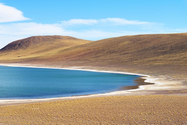 lue laguna di Laguna Miniques nell'altiplano della regione di Antofagasta Cile