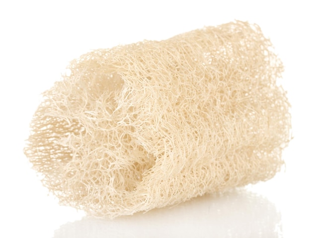 Luffa isolato su bianco