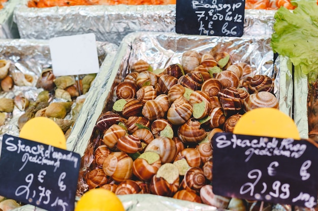 Lumache crude crude con burro all'aglio per la vendita al mercato del pesce. Frutti di mare, mercato dei crostacei. Foto di stock di lumache con grandi lumache, lumache, farcite con salsa verde in una scatola di alluminio sul mercato Parigi, Francia.